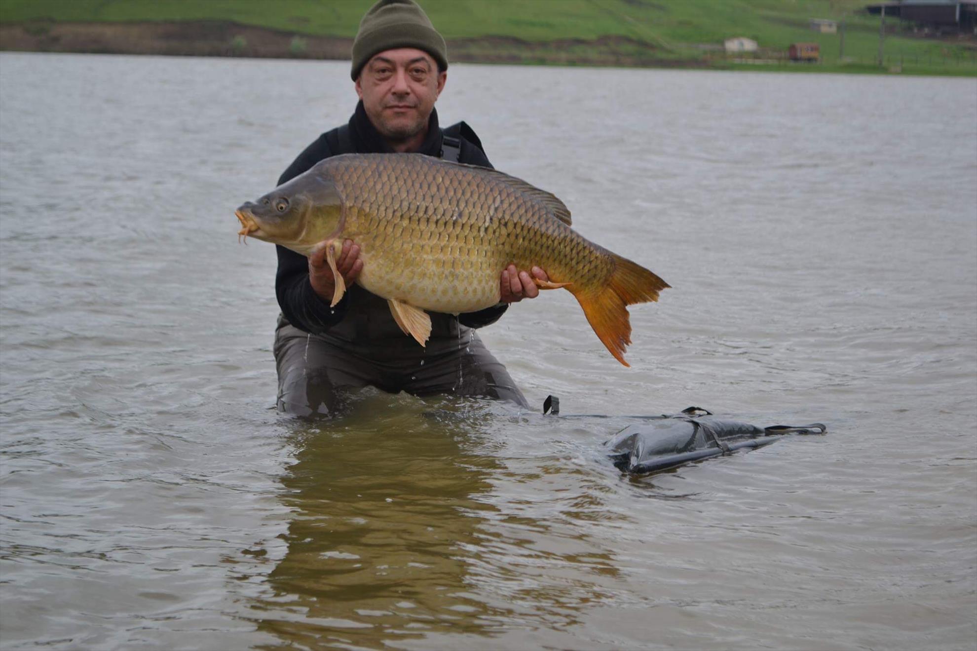 Horgesti 2017 - img1330.JPG